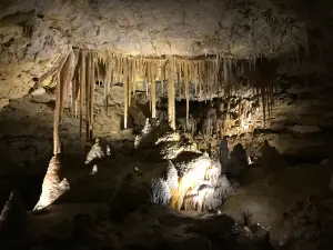 Parque nacional Cuevas de Naracoorte