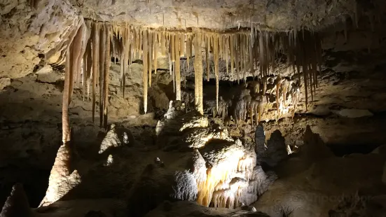 Naracoorte Caves National Park