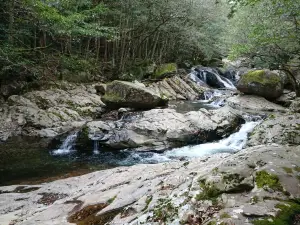 足摺宇和海国立公園 滑床渓谷