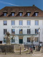 Naturmuseum Solothurn