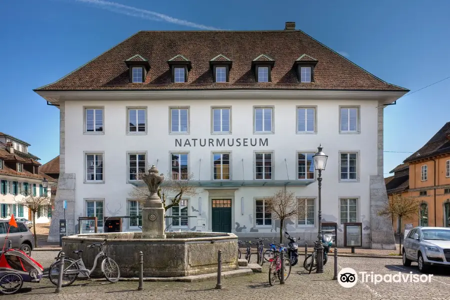 Museum of Nature