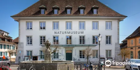 Naturmuseum Solothurn