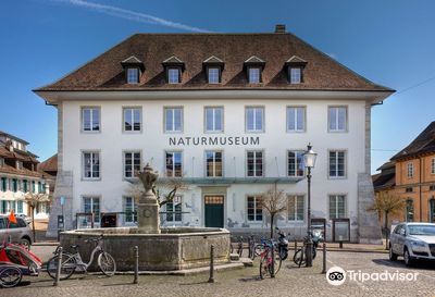 Museum of Nature