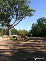 Bluff View Trail