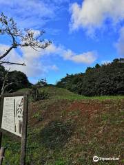 岡田山古墳