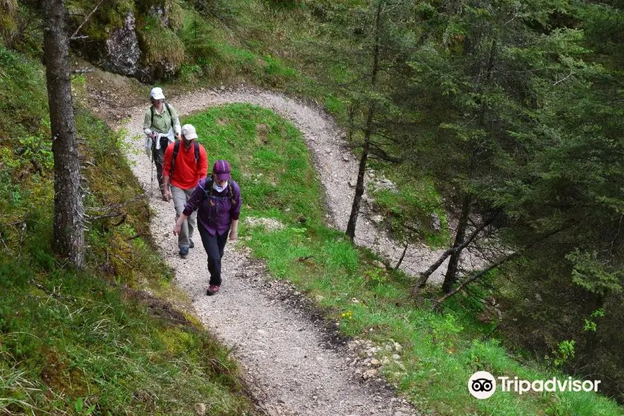 Escursione alla Cima del Monte Balzo passando per Monte Cavone