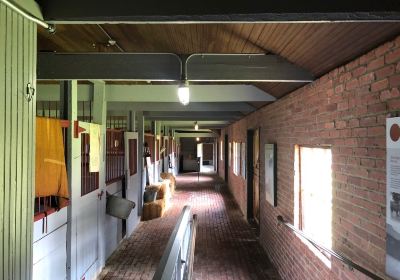 Belair Stable Museum