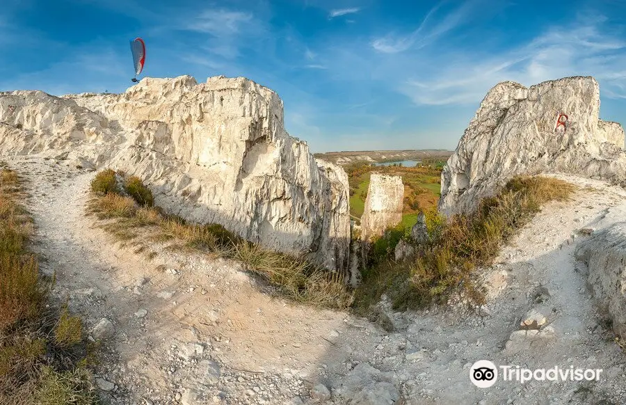 Cretaceous rocks of Belokuzminovka