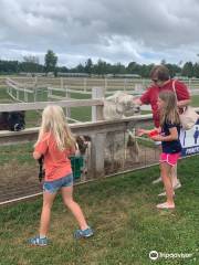 Up North Farm Market