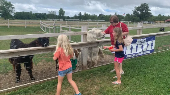 Up North Farm Market