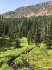 Emerald Lake Trail