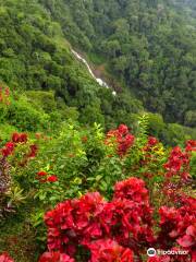 Pura Vida Gardens And Waterfall