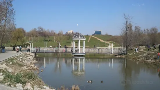 Voznesenivsʹkyy Park