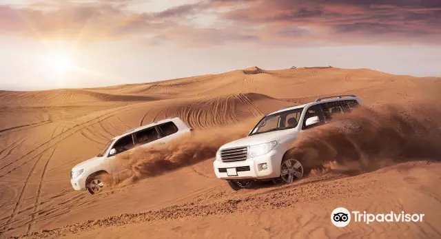 Off-road Adventures in Dubai