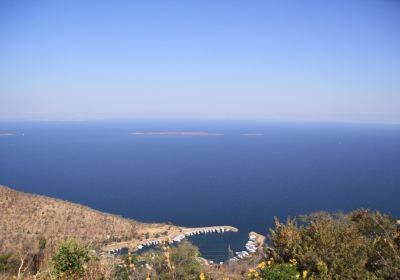 Siavonga