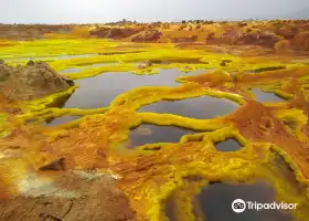 Amazing Ethiopia