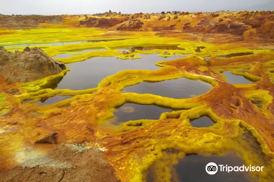 Amazing Ethiopia