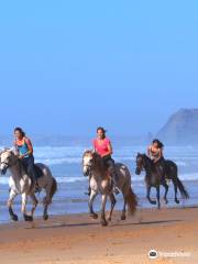 Algarve Horse Riding