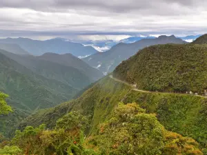 WMDR Yungas Road