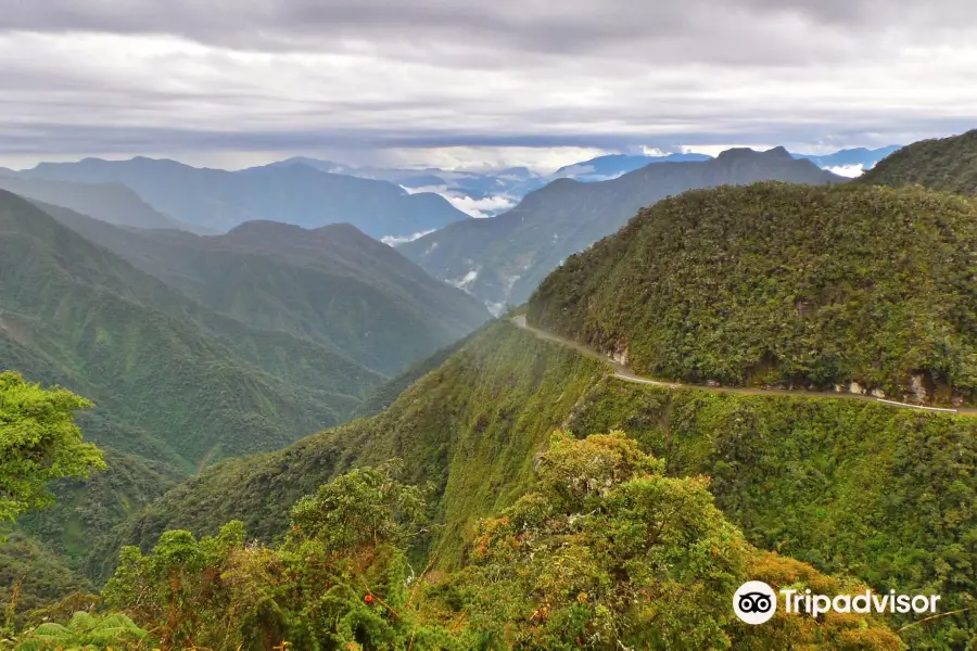 WMDR Yungas Road