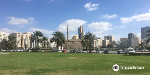 法薩爾王清真寺