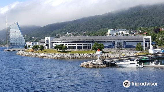 Molde