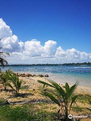 Starfish Beach