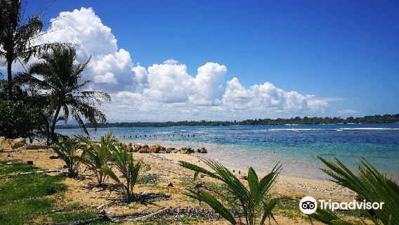 Starfish Beach
