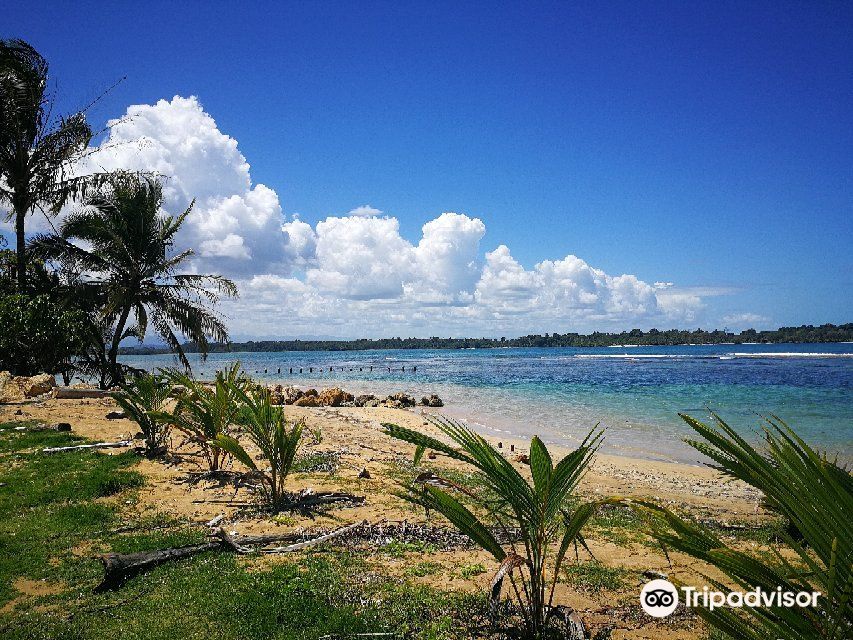 Starfish Beach