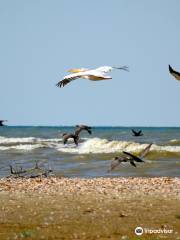 Danube Biosphere Reserve