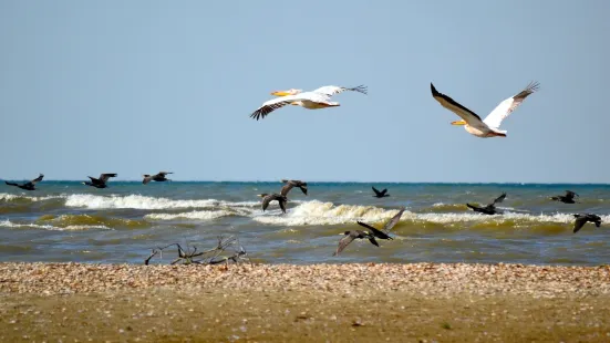 Danube Biosphere Reserve