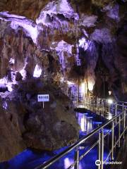 Great Limestone Cave of Hida and Ohashi Collection Museum