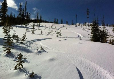 Mt Timothy Ski Area