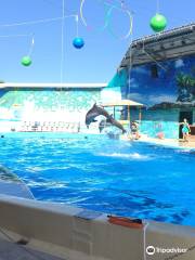 Anapa Dolphinarium （Nemo）