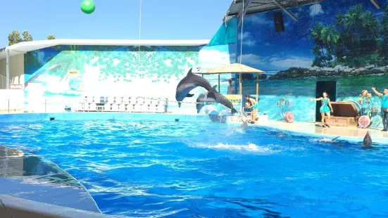 Anapa Dolphinarium (Nemo)