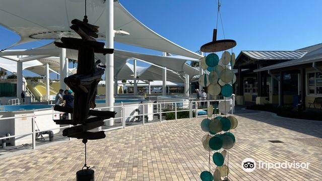 Loggerhead Marinelife Center