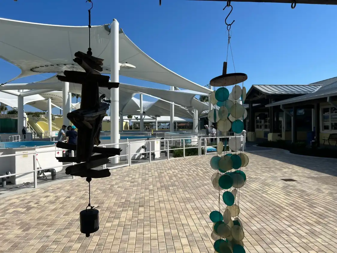 Hotels near Loggerhead Marinelife Center