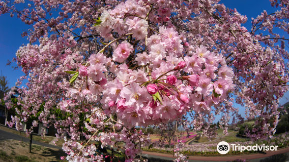 Ohta Hokubu Sports Park