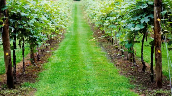 Heritage Vineyards Winery