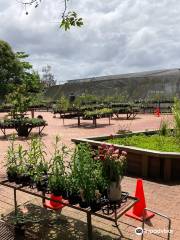 Fairhill Native Plants & Botanic Gardens