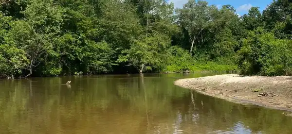 Hotels in Forrest County