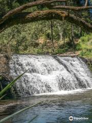 Morwell River Falls Reserve