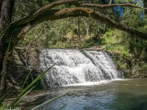 Morwell River Falls Reserve