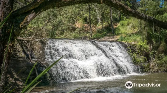 Morwell River Falls
