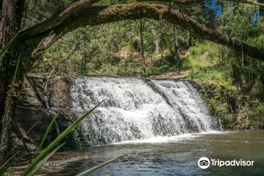 Morwell River Falls Reserve