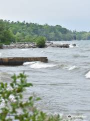 Rattray Marsh Conservation Area