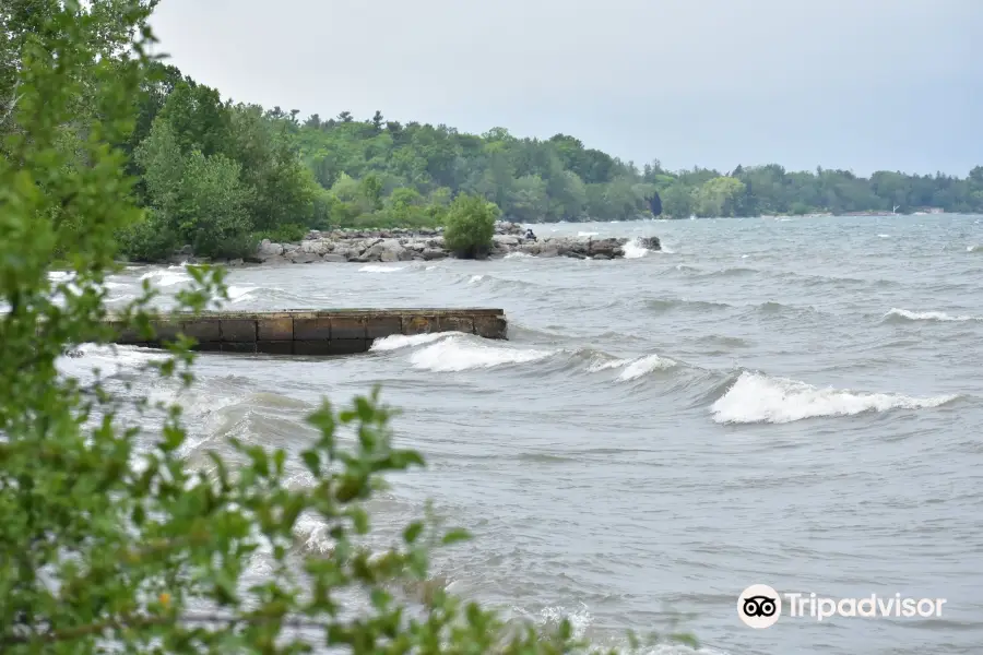 Rattray Marsh Conservation Area