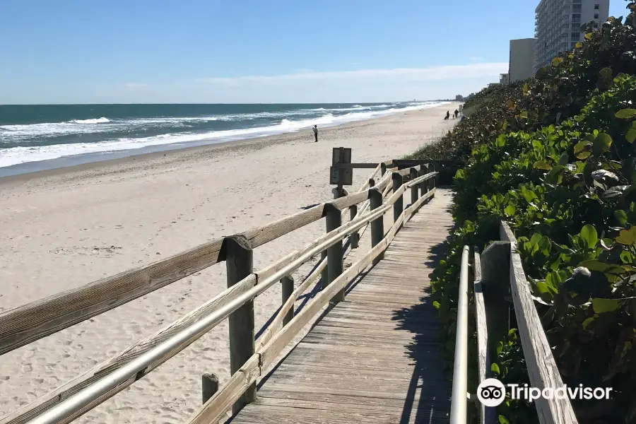 Canova Beach Dog Park