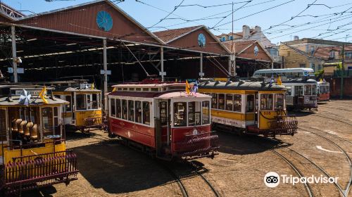 Bus Museum