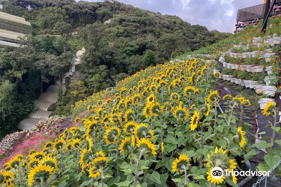 Cameron Highlands Flora Park